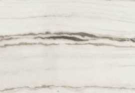Керамогранит PREXIOUS REX WHITE FANTASY MAT R (755873) 30x60 от REX Ceramiche (Италия)