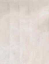 Настенная плитка Avalon Rectangles Marfil Gloss (162-001-4) 33.3x100 от Etile (Испания)