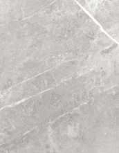 Настенная плитка Charme Evo Imperiale (8мм) глянец 25x75 от Italon (Россия)