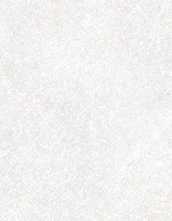 Настенная плитка GRUNGE WHITE/R (5040727490) 32x90 от Peronda (Испания)