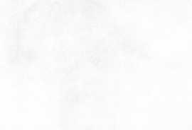 Настенная плитка Konor White (WT9KON00) 24.9x50x7.5 от New Trend (Россия)