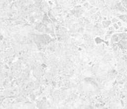 Керамогранит Brecia Adonis Grey светло-серый глянцевый 60x120 от Laparet
