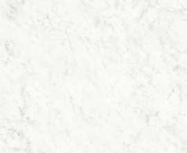 Керамогранит Xlight Premium Carrara White Polished (6 мм) (C221101711) 120x120 от XLight (Испания)