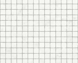 Мозаика CHA.DEL.MICHELANGELO MOS.SPLIT (620110000119) 30x30 от Italon (Россия)