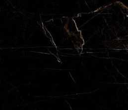 Керамогранит Marble Tropic Black 60x120 от Artcer (Индия)