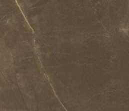 Керамогранит Splendida Armani Brown Glossy (CV20162) 60x120 от Neodom (Индия)
