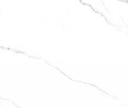 Керамогранит Splendida Mckinley Glossy (CV20222)  60x120 от Neodom (Индия)