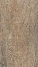 Керамогранит Браш Вуд коричневый (SG401200N) 9.9x40.2x8 от Kerama Marazzi (Россия)
